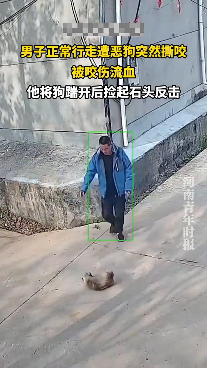 男子正常行走遭恶狗突然撕咬，被咬伤流血。他将狗踹开后捡起石头反击。