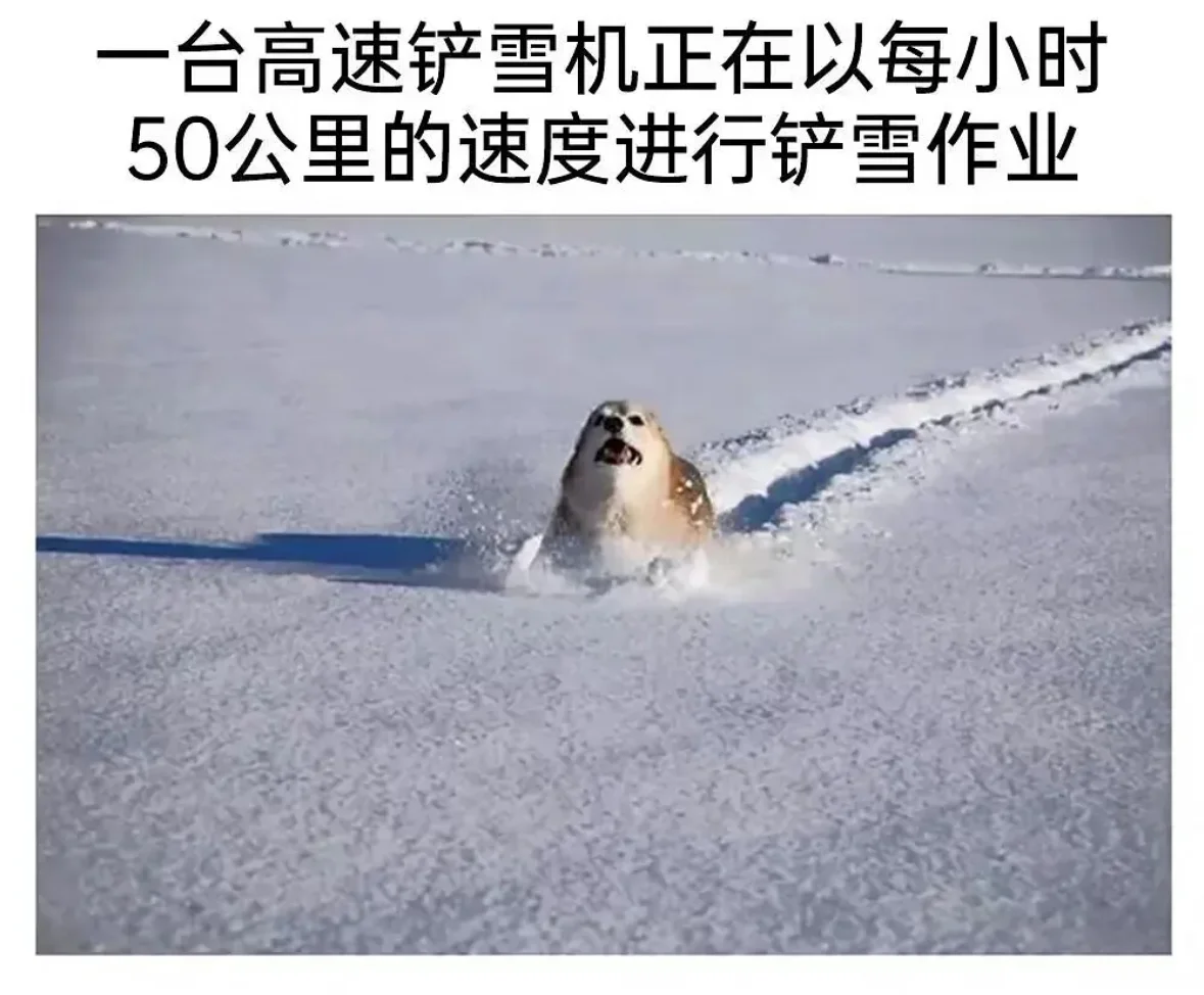 高速铲雪汪汪队