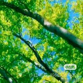 森林驿站每日‬一善‎阳光‎信用 人生最珍贵的六种财富：一是洋溢在容颜上的自信，二