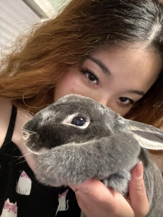 🐰🐰妈妈的小恶霸们
