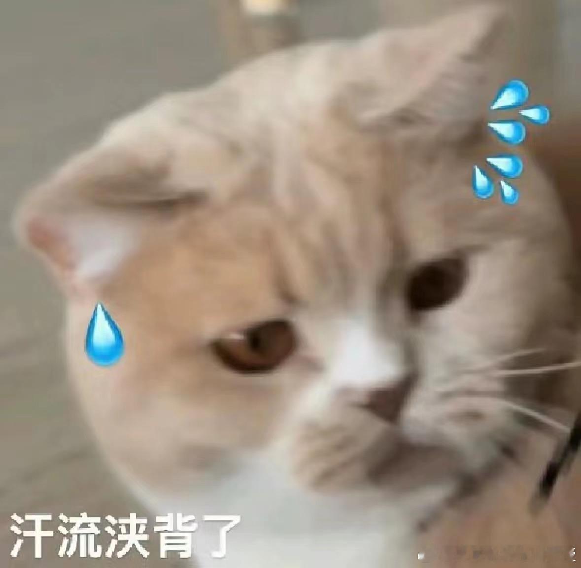 夏天到了，经常出汗的人看过来，你需要了解这些知识[话筒]：1.汗液本身没有味道，