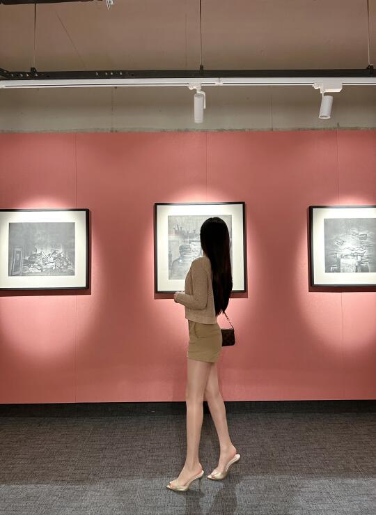 看展日🖼️