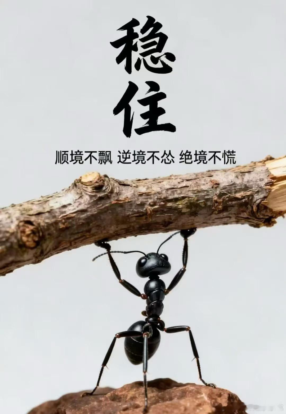 别把时间浪费在遗憾里，（没有遗憾）也别把自己困在别人的眼光中。（不在乎）​稳住、