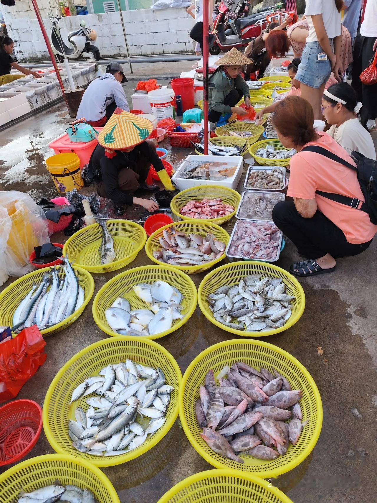 最近，海口部分的海鲜市场，海鱼很便宜，比如泥猛、巴浪之类的，才8块钱一斤。