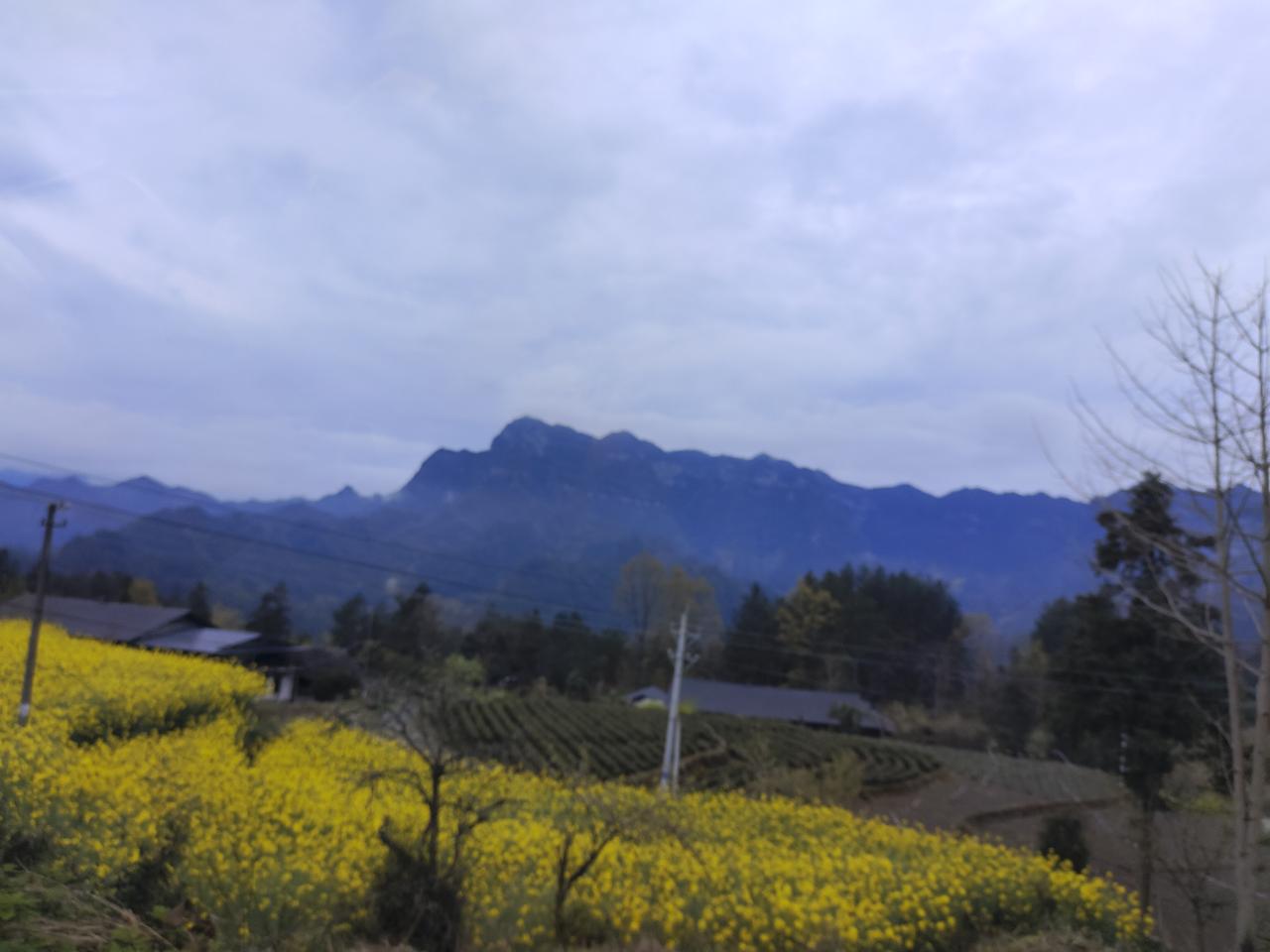 城市白领下田体验农活，感受田园生活的乐趣！🌾🌿