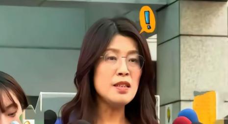 大陆这边刚把那个搞“台独”的沈伯洋挂上号，国民党的柯志恩就跳出来说，要是大陆敢在