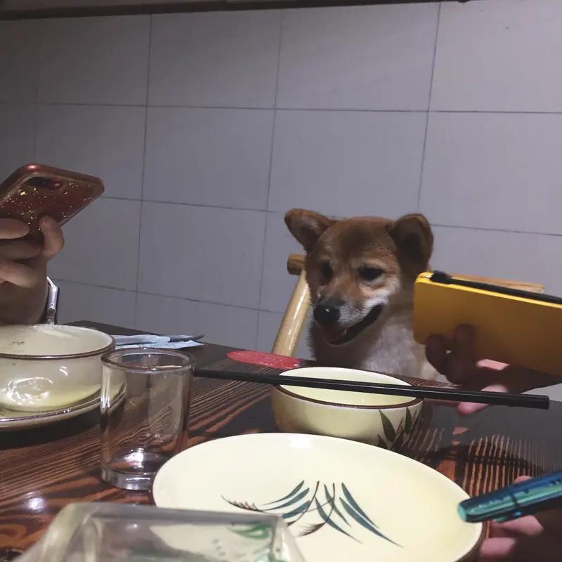 感恩回馈帮助过自己的人，方式有很多。我觉得请对方吃顿饭是个不错的选择。找一家有特