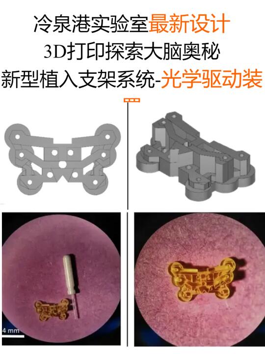 3D打印赋能神经科学！冷泉港实验室最新设计