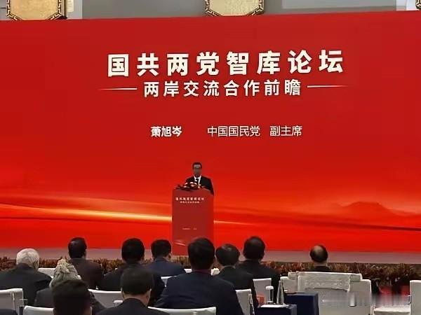 无论如何，两岸官方交流还是凿开了一个洞，这根本区别于民间个人交流，但我们仍然把这