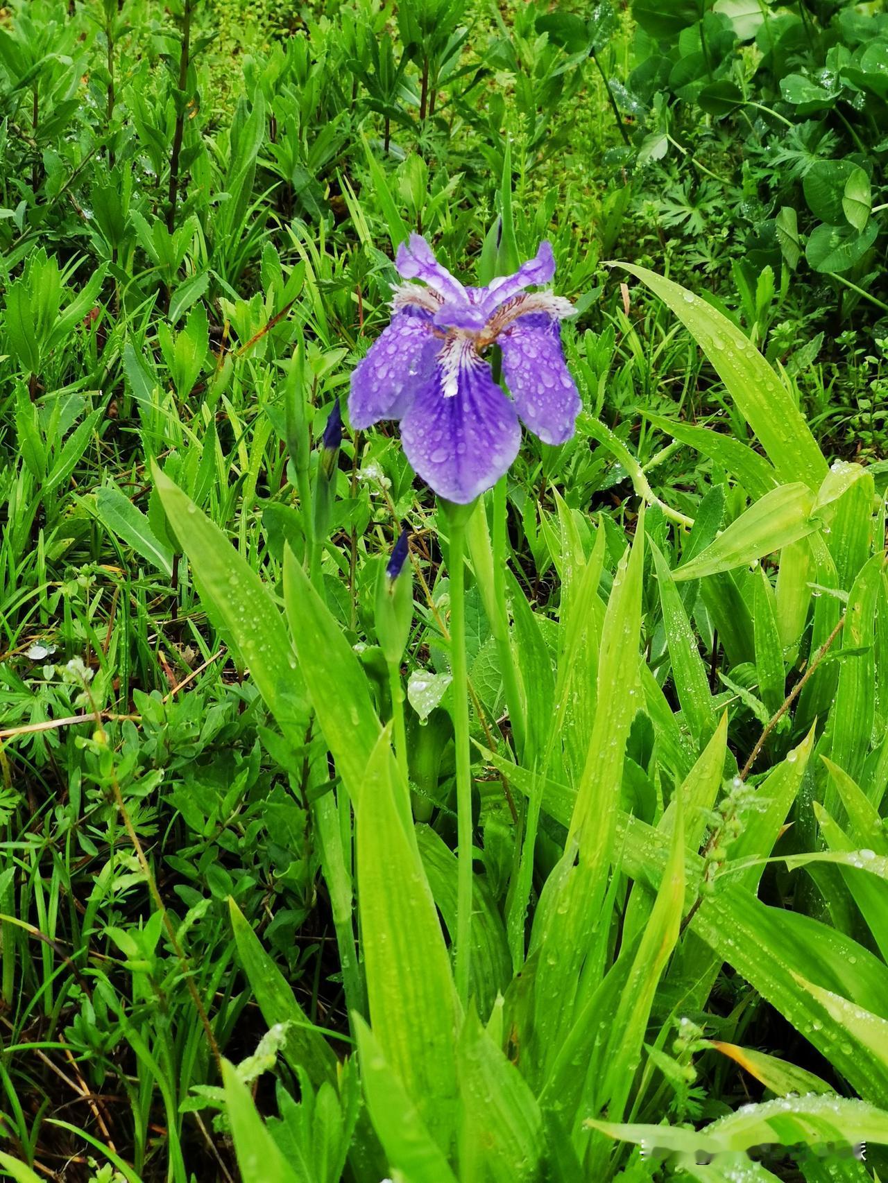 人这一生，总有惧怕时，当如何？

丝绒陨 在《不被召唤，不受差遣》中说：
“没什