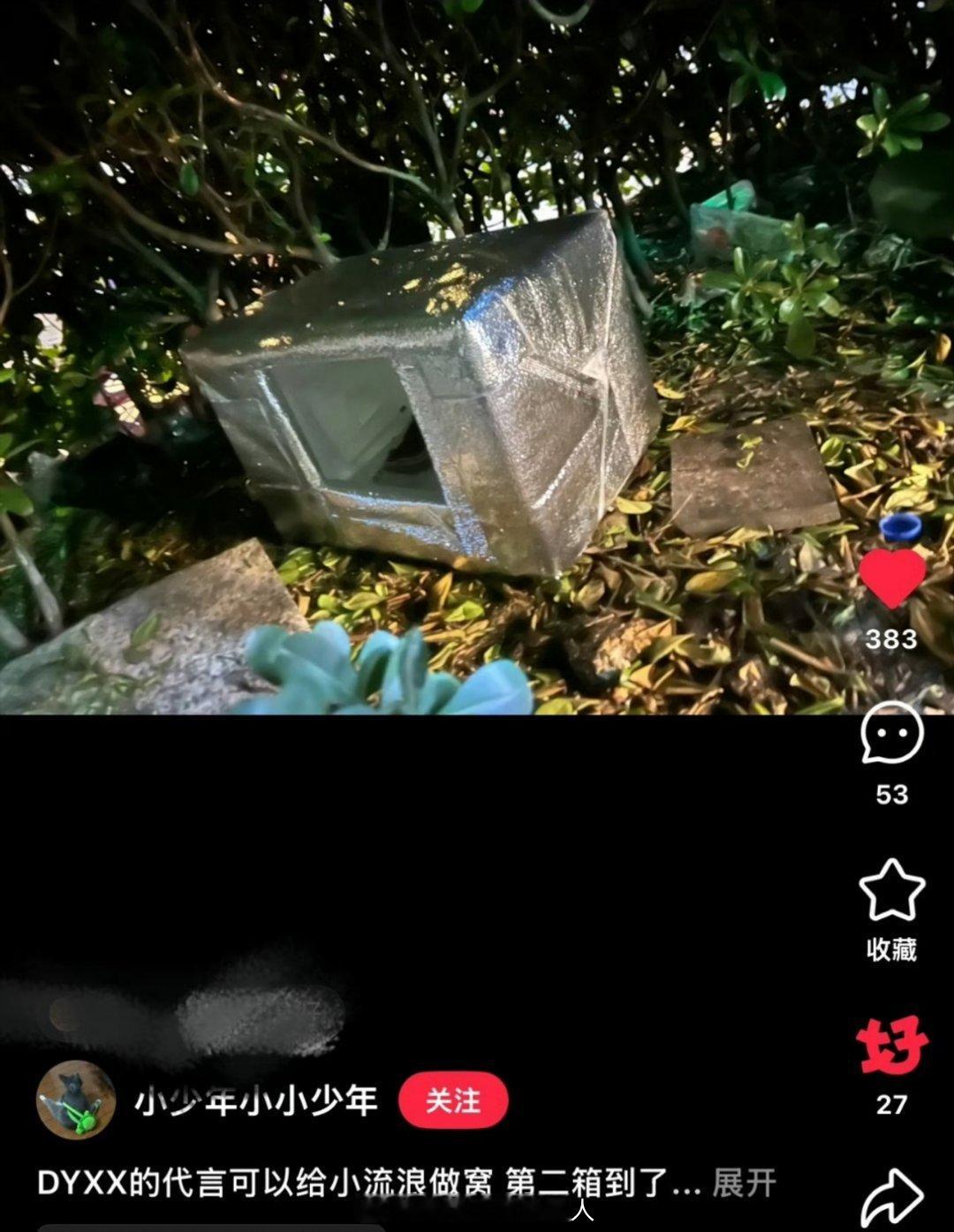 丁禹兮很好，小海棠也是！真的就是很善良的小丁有着一群很暖心的粉丝，小流浪们也可以