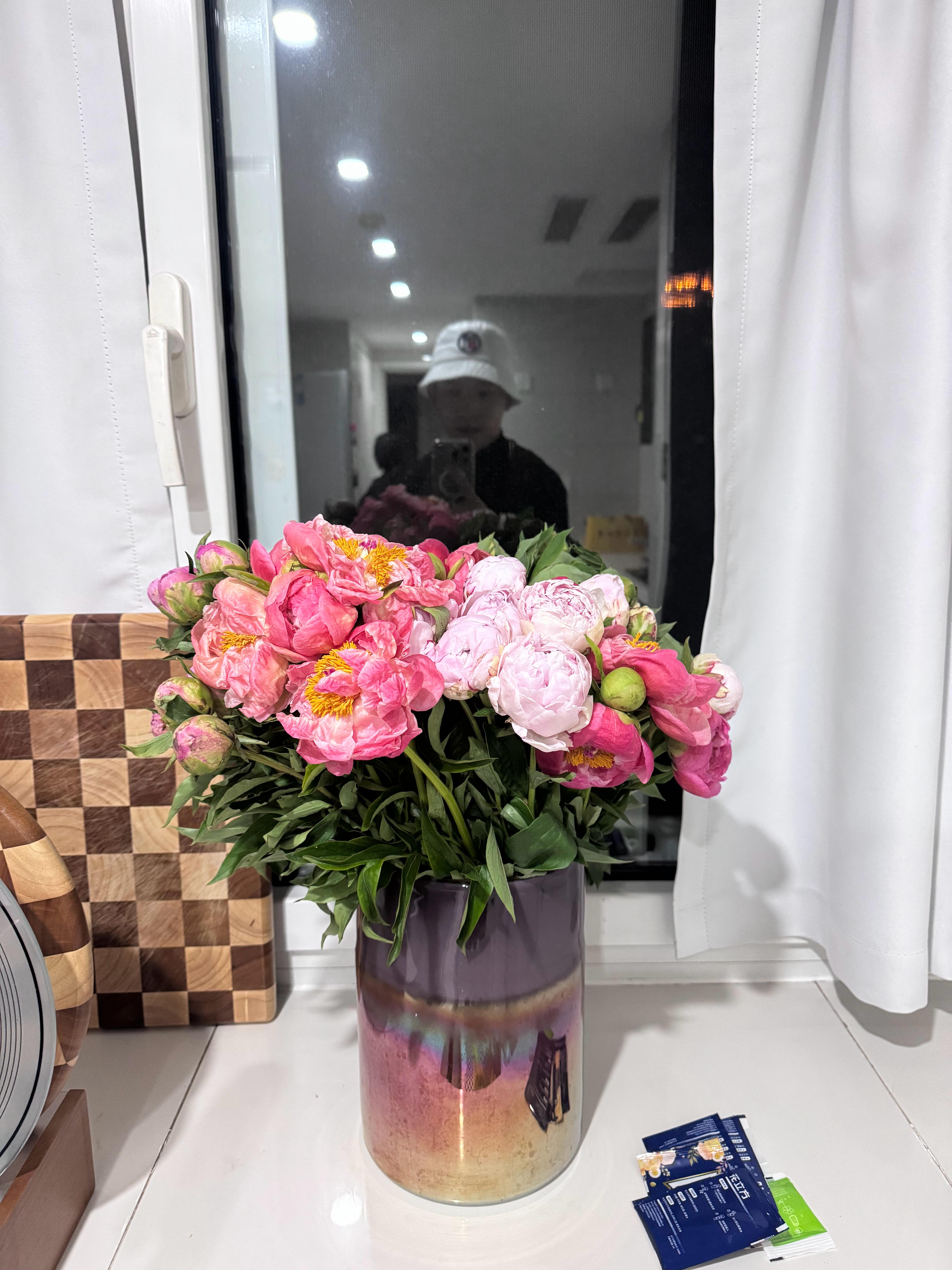 又一波芍药收到快递后仅12个小时的变化真是热烈又不妖艳啊快冲啊朋友们一定要抓住芍