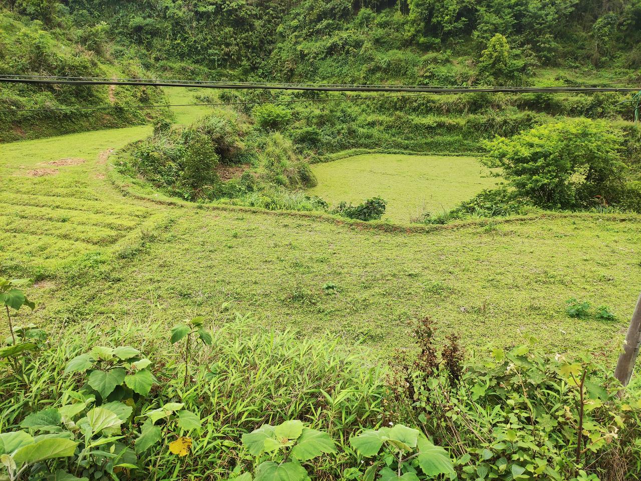这样的农村生活你们喜欢吗？拿着几千大洋守着设备无忧无虑，呼吸着最新鲜的空气，听着