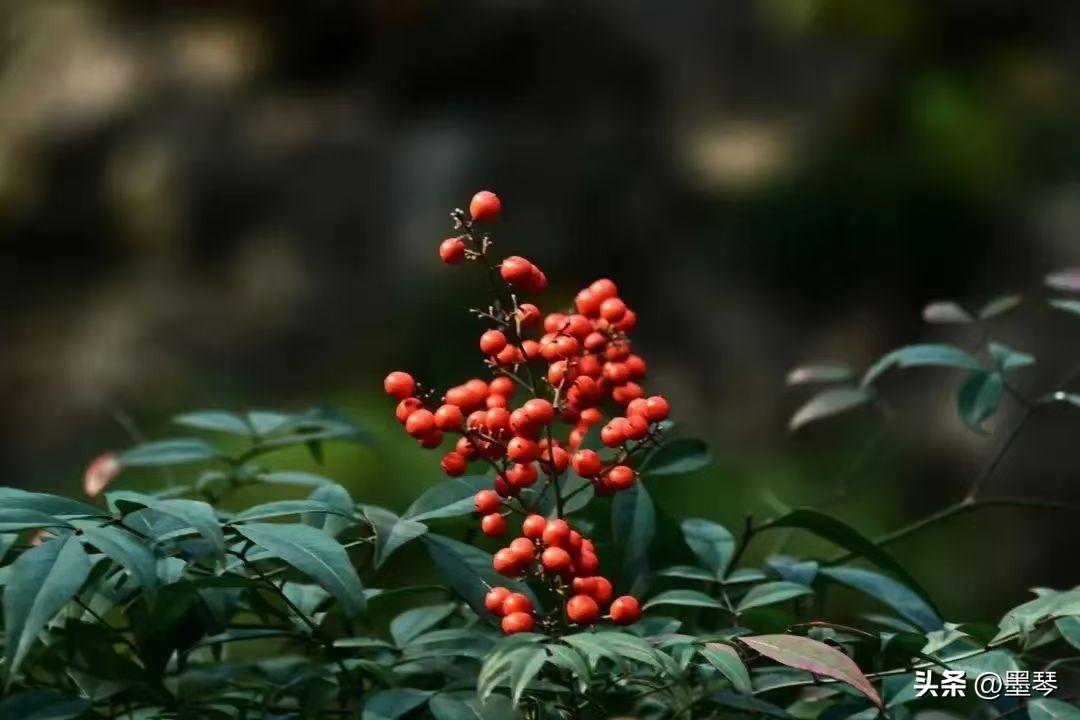 孩子“大了反而不懂事”？错，你觉得孩子大了不懂事，通常不是“变坏了”，而是孩子的