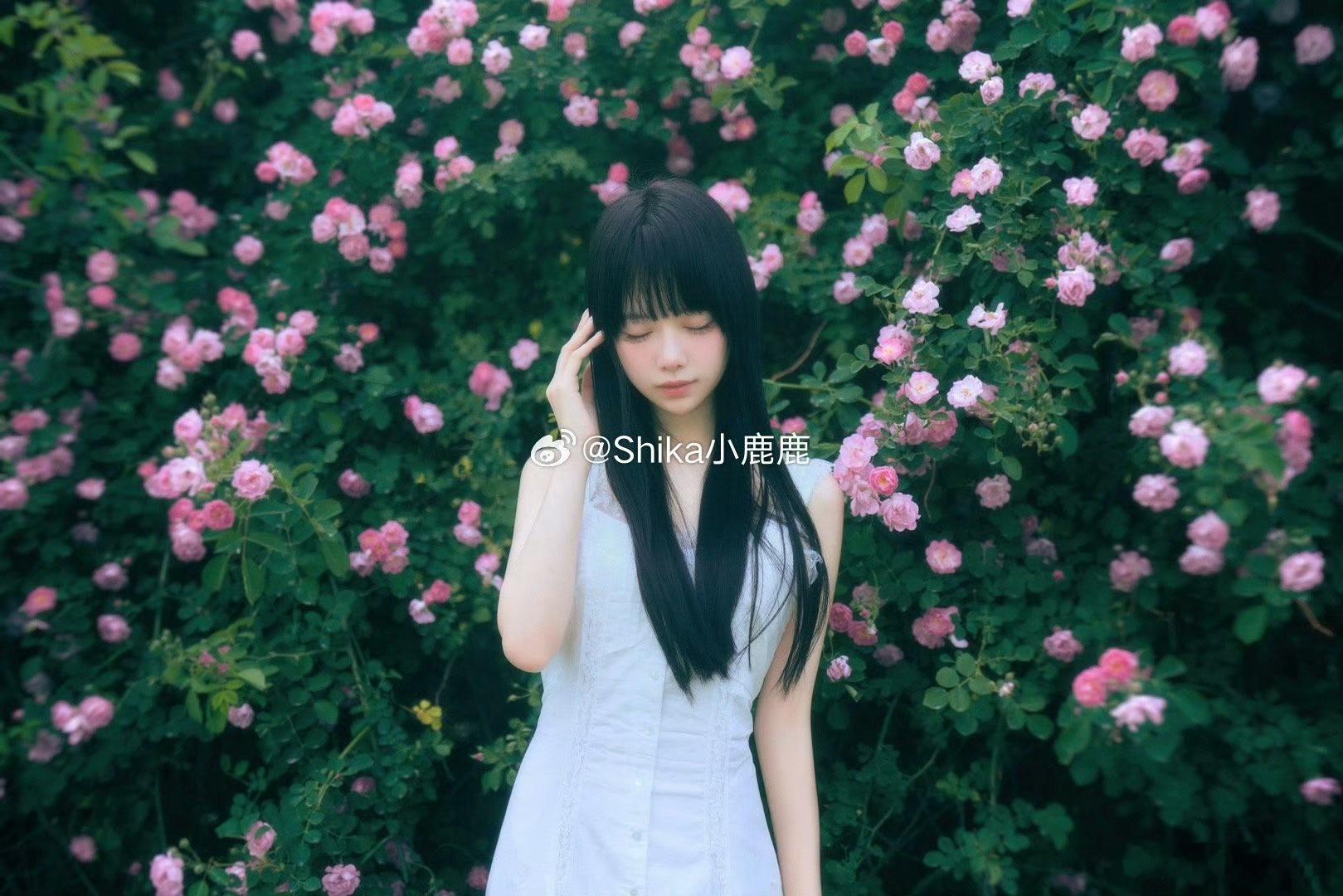 重庆约拍[超话]重庆约拍啦[超话]重庆约片啦[超话]蔷薇写诗时，我在风里读到了你
