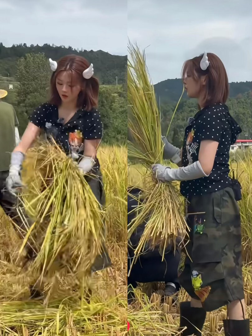 花了半生努力才走出的地方……你还愿意回去吗？ 
