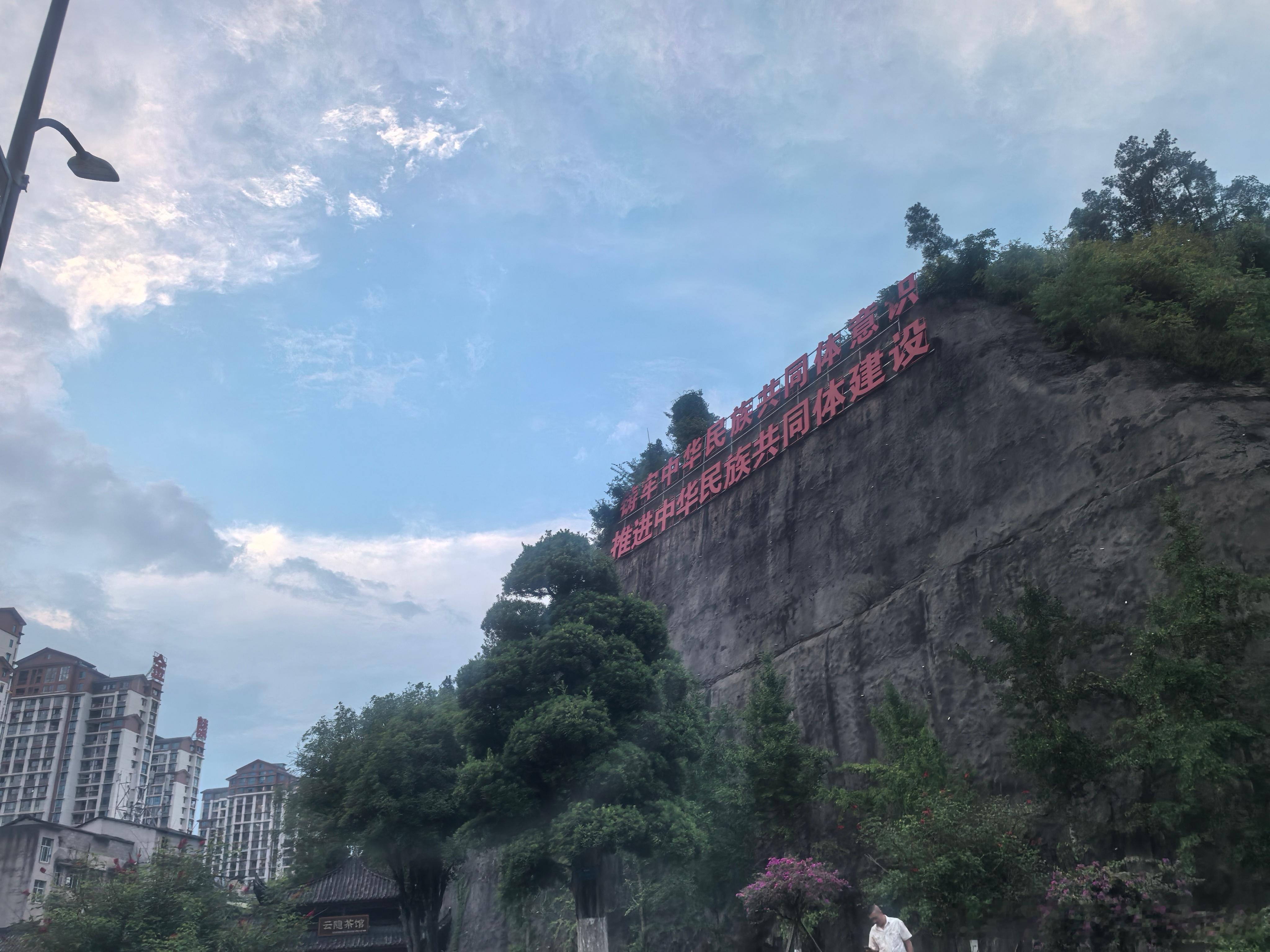 分享图片 