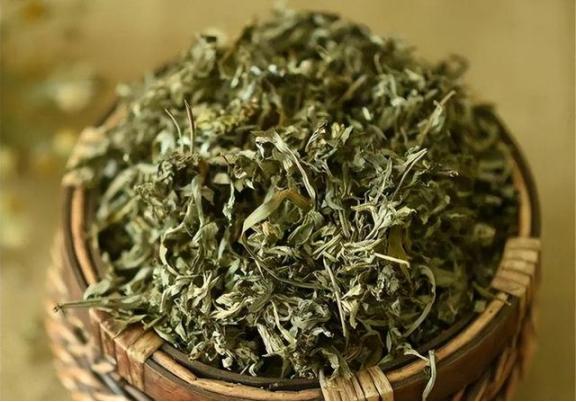 用艾叶当枕芯，六个月后去医院体检，医生羡慕：气色红润

说到艾叶，你可能想到的都