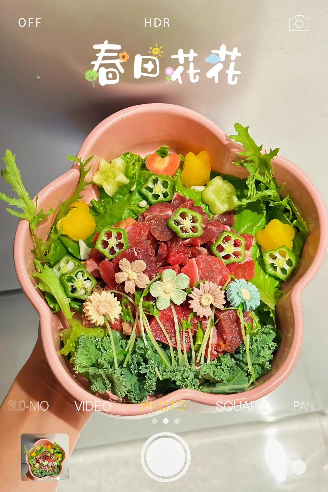 给小狗配餐