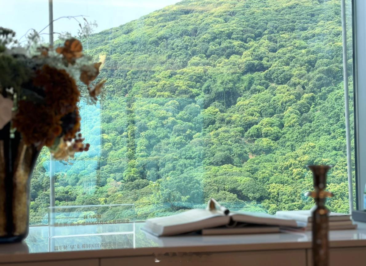 深圳南山7万多单价， 买个山景房 。深圳