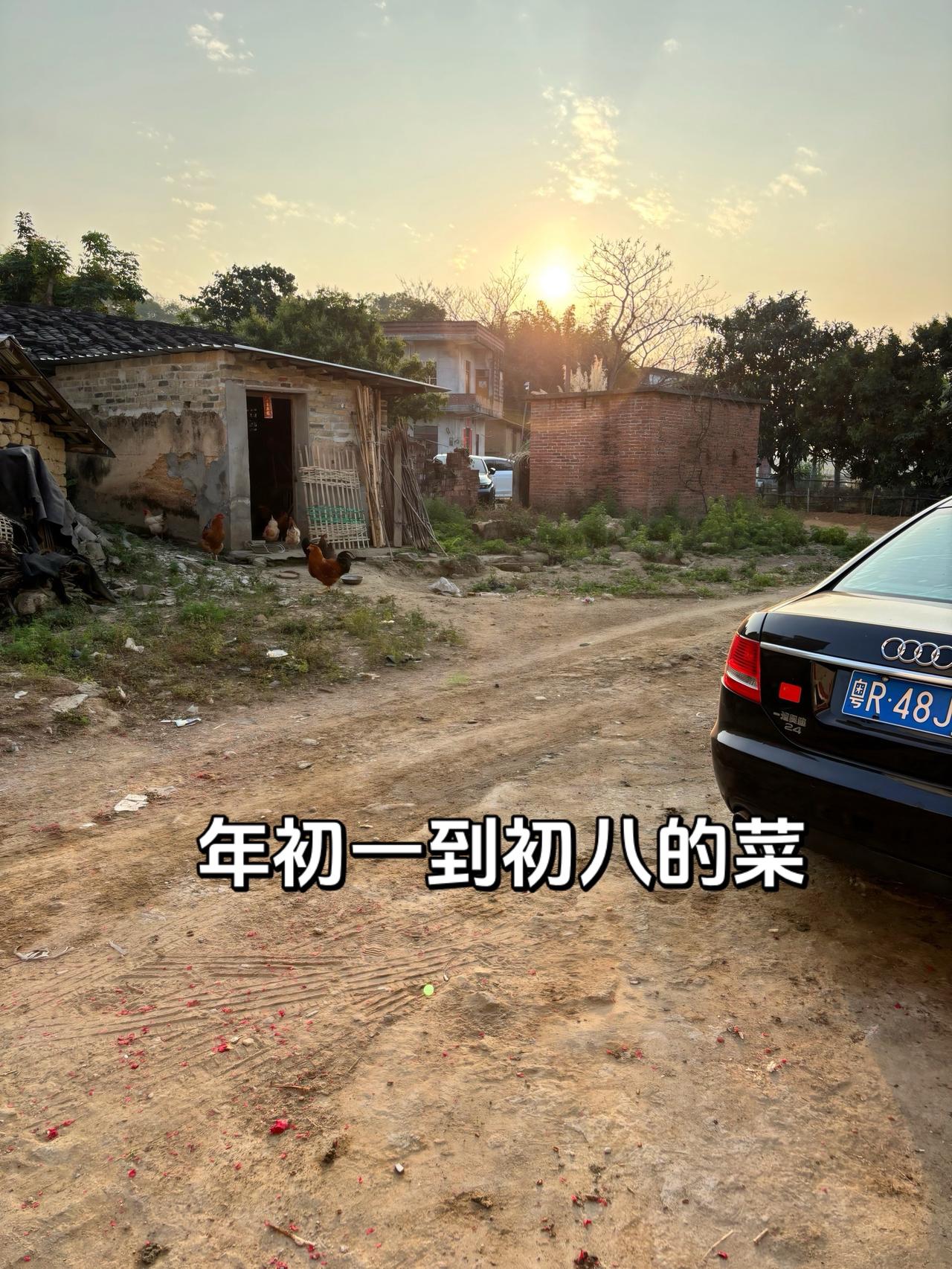 广东过年的餐桌都是鸡 没有一只鸡走得出广东 农村生活