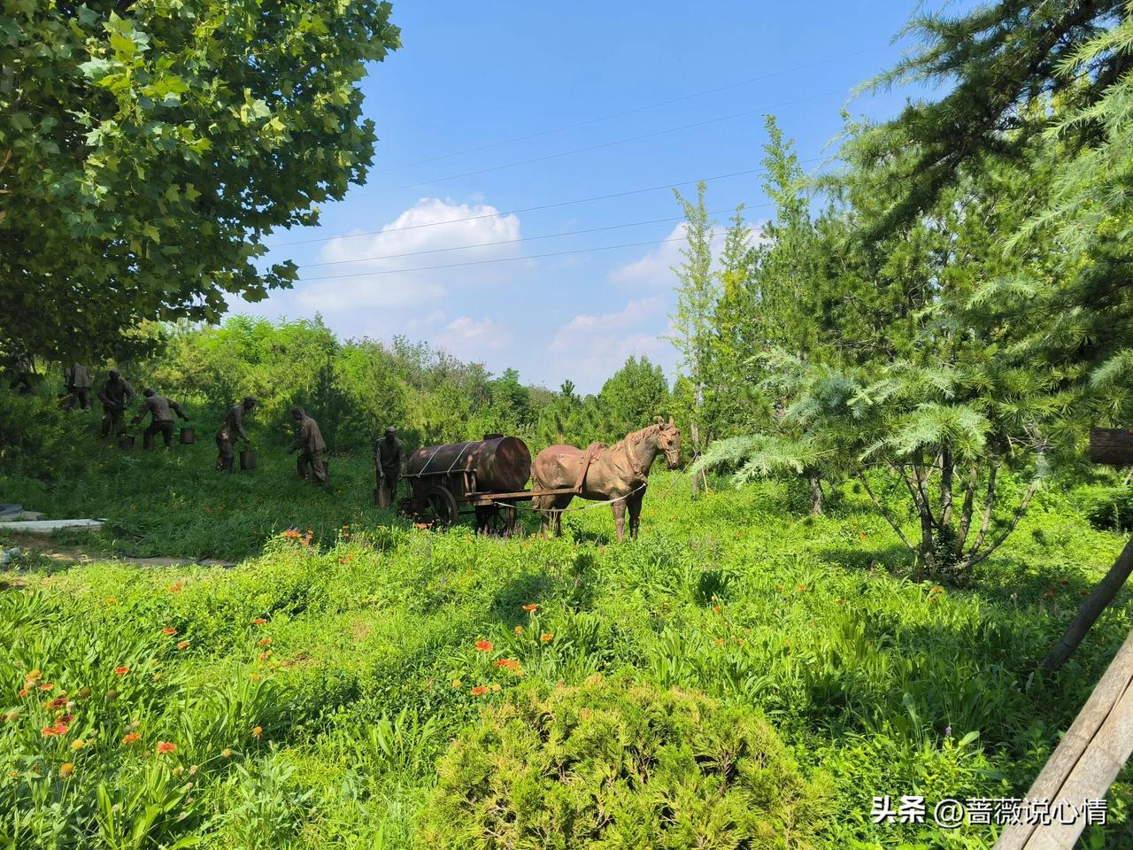 婆媳都来找我倾诉

我们小区有个邻居家，女主人小马跟我比较熟，经常聊聊天，她婆婆