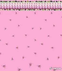 阳光信用  🎀熊猫守护者每日‎一善阳光信用 🌸✧ :-: ✧ :-: ✧ :
