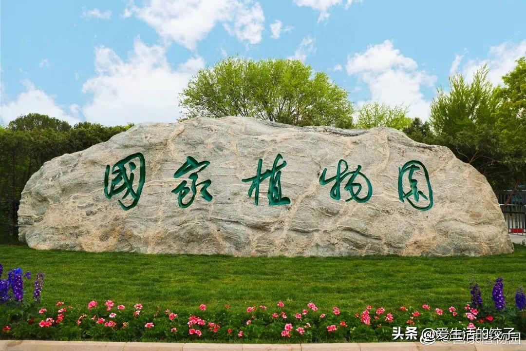 北京美丽的春天来了！

一起去看花！

1. 国家植物园：3月底桃花开，4月中旬
