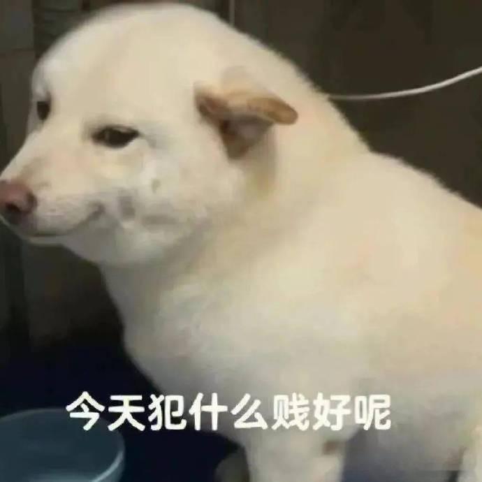 丞磊和张凌赫，体感一下，现在谁的流量大？ ​​​