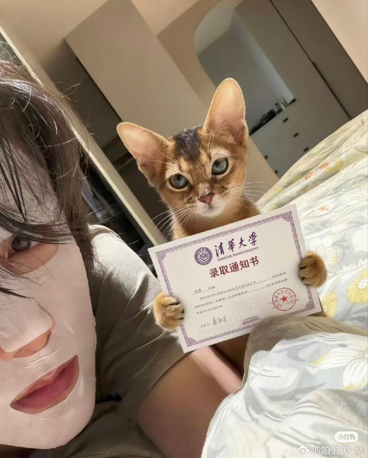 孩子别睡了 咱可是要考清华的小茂密呢🤓 