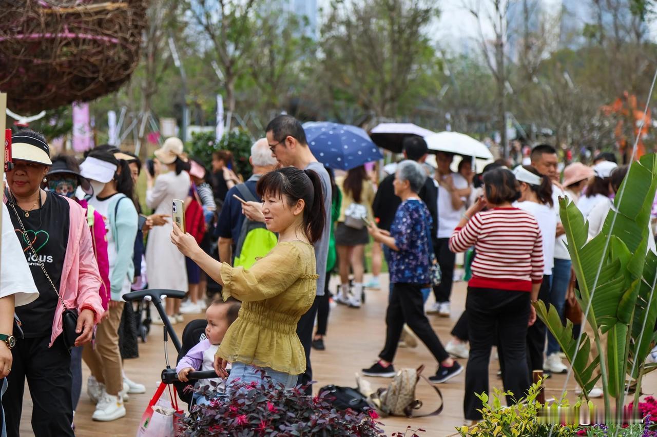 相约紫竹院公园，百姓的大舞台。北京紫竹院公园的各种业余的群众表演和专业的义演有很