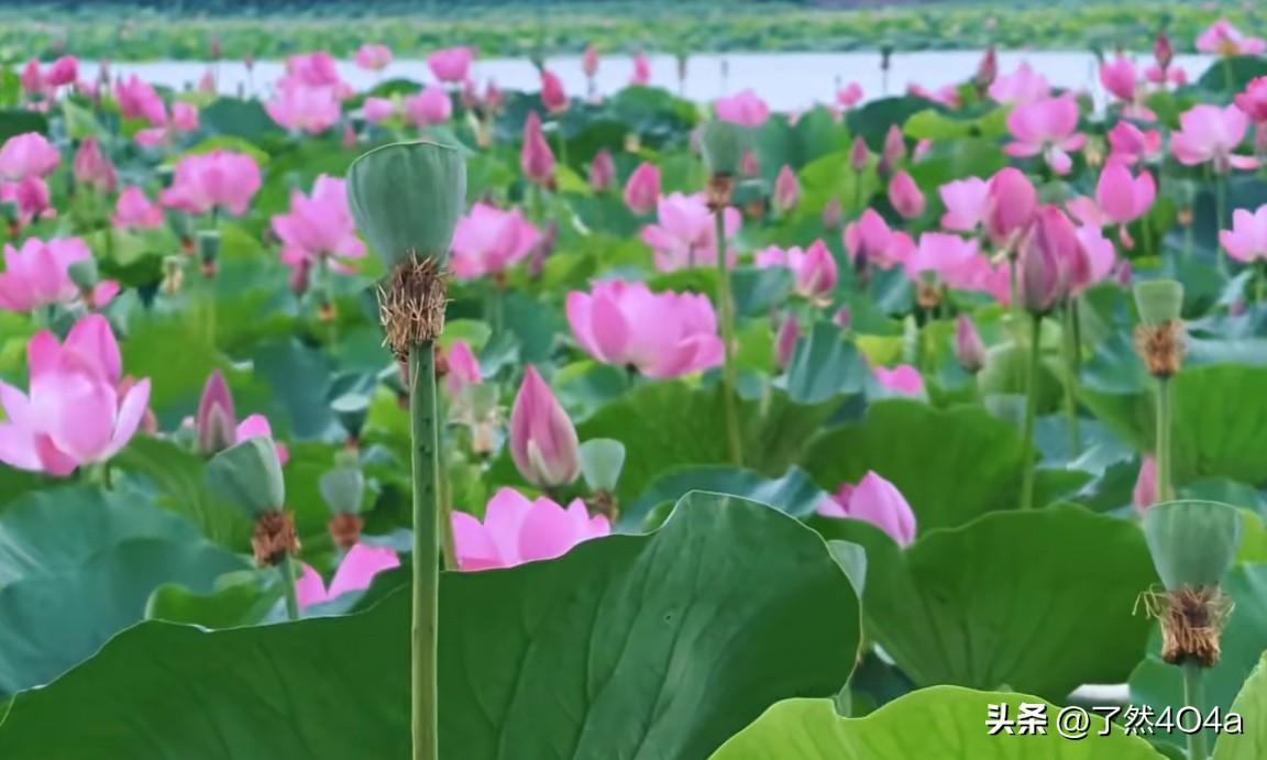标题：爱自己，你及格了吗？很多人总把温柔留给他人，苛责留给自己。习惯性内耗，为小