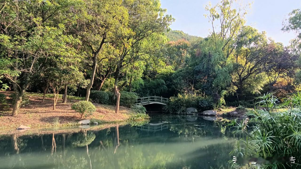 山林公园的野趣远远大于城市湿地公园，就拿无锡市区唯一一座以山林公园命名的“宝界山