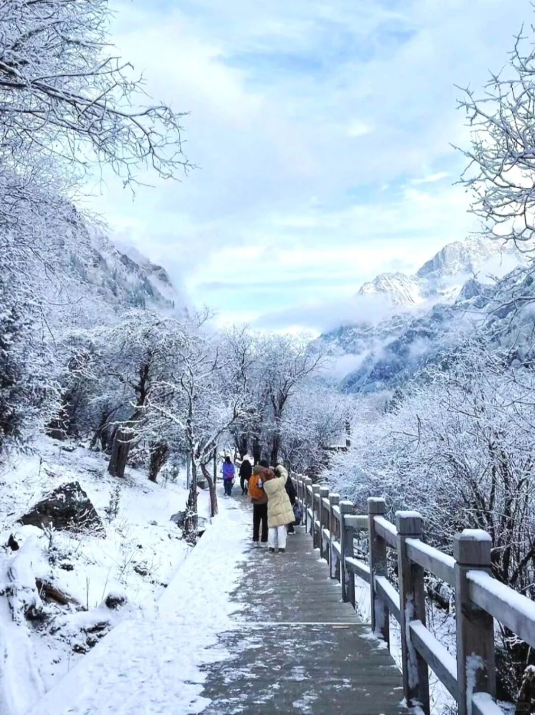 12.1📍川西四姑娘山现状，劝退不了一点～