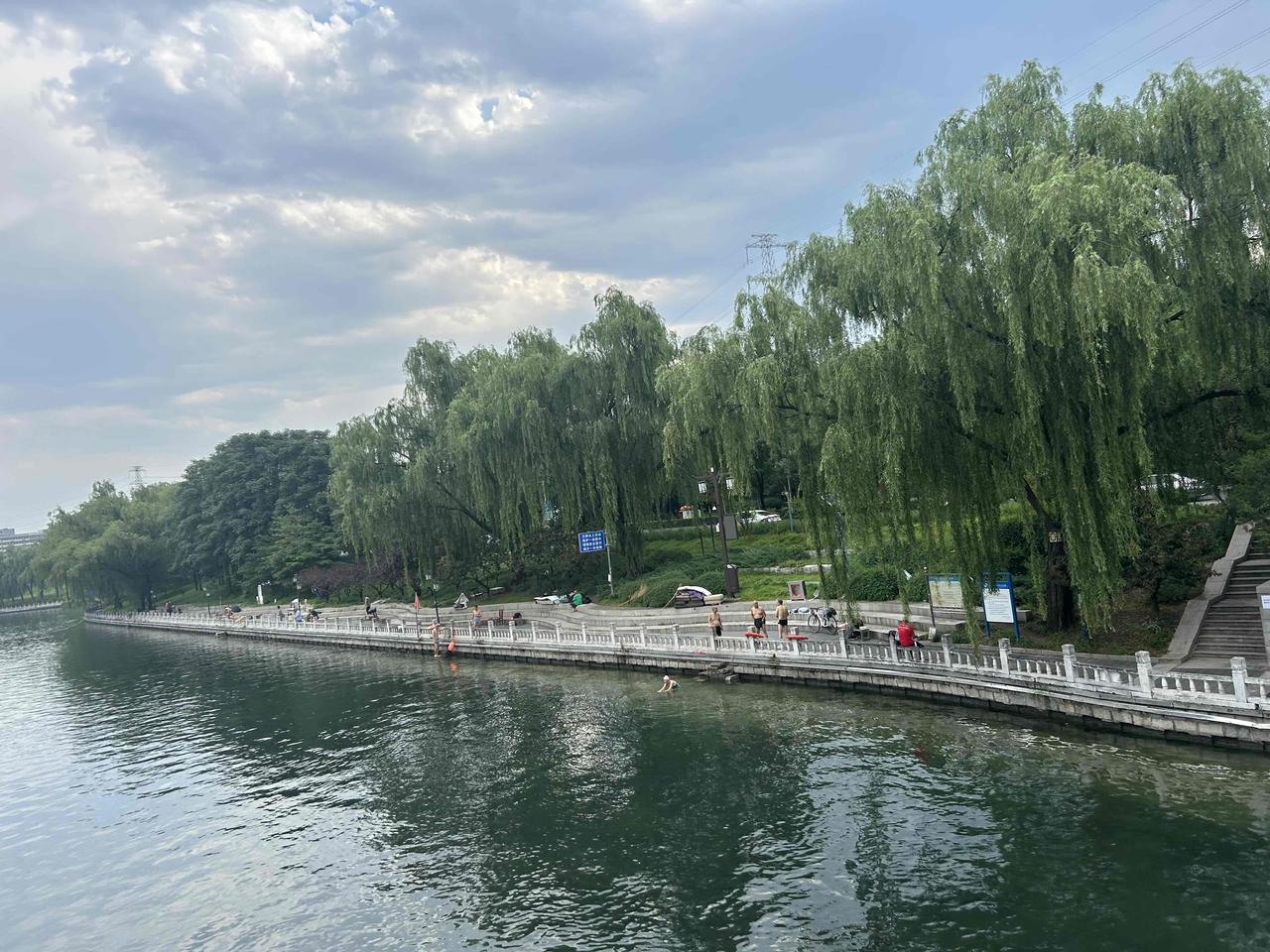 今天早上，在西郊昆玉河边，看到一些游泳🏊的老年人…