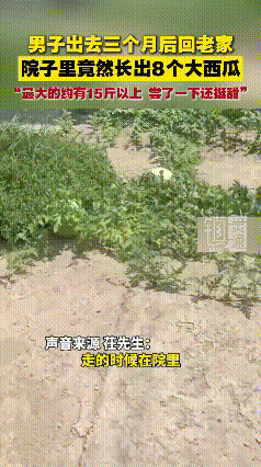 万万没想到，江苏徐州，一男子三个月没回老家，回家时男子还在想院里肯定长满了杂草，