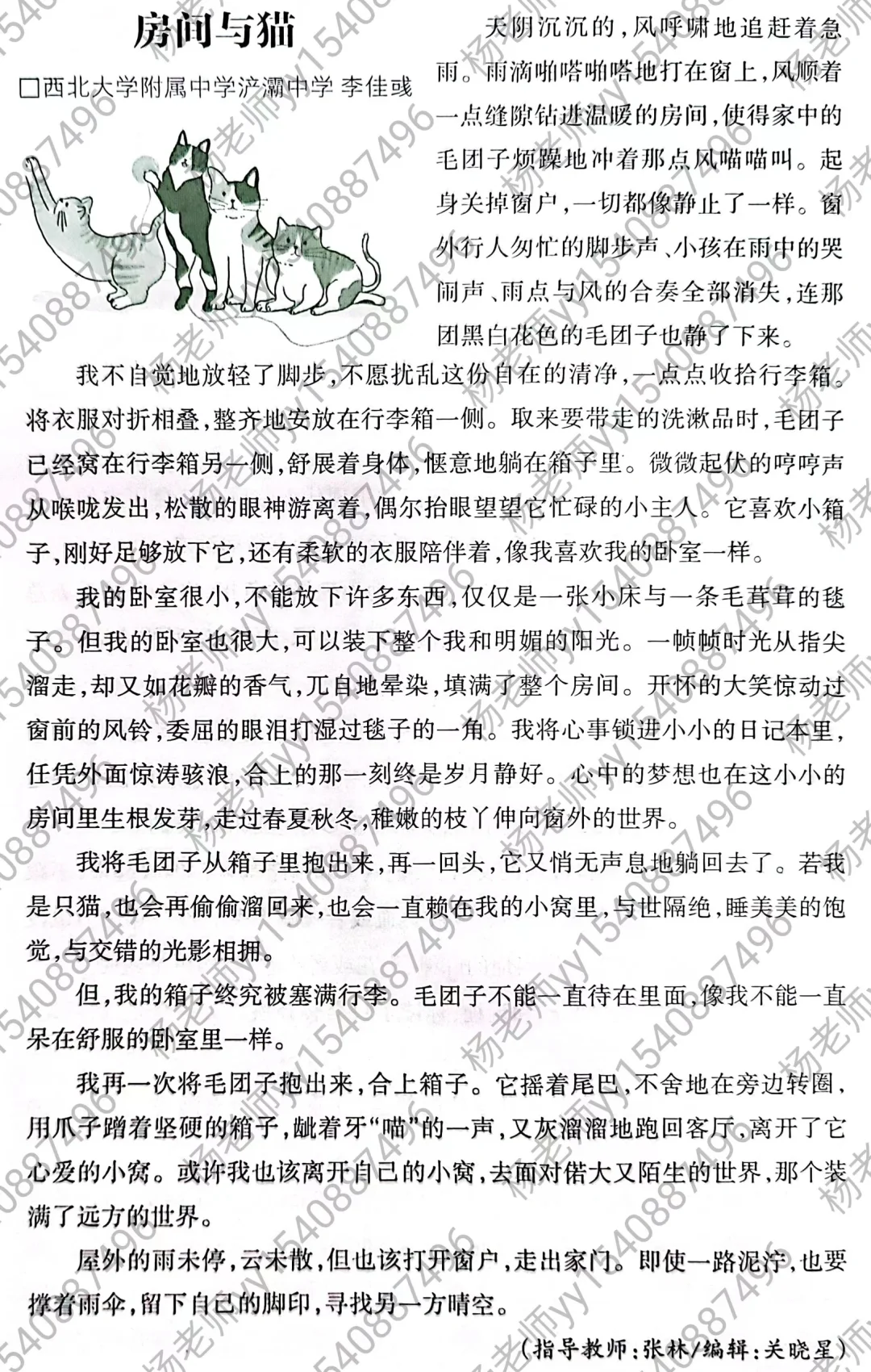 房间与猫：如何把一件小事写出意义‼️