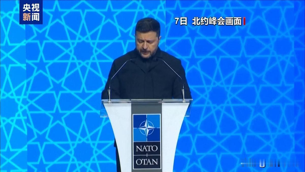 据彭博社2026年7月报道，乌克兰总统泽连斯基在北约安卡拉峰会后的线上简报会上对