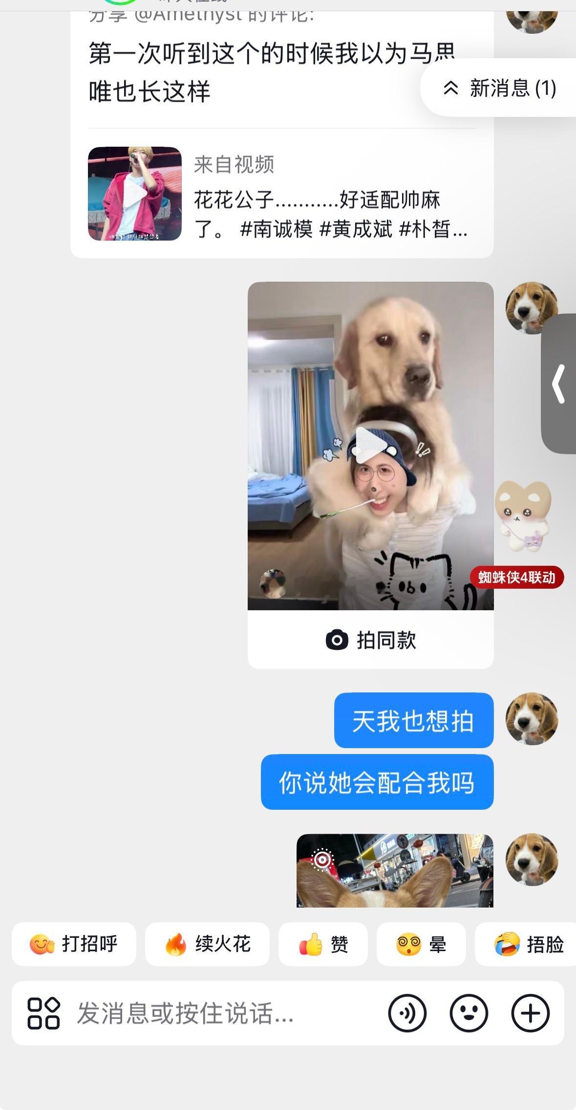 下一次和我狗宝拍的抖预定了🫰 