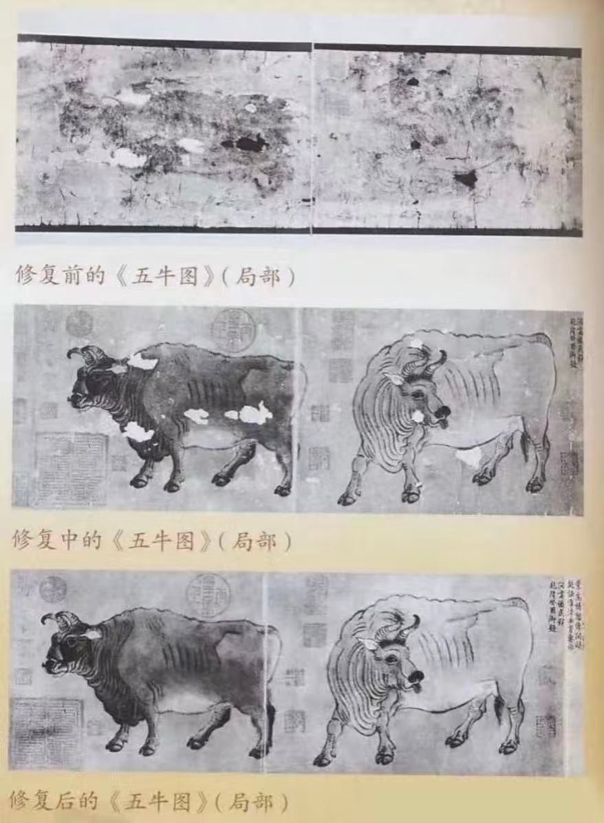 破洞百余处的残卷变国宝！《五牛图》遭八国联军劫掠，因周总理紧急批复得以回归，修复