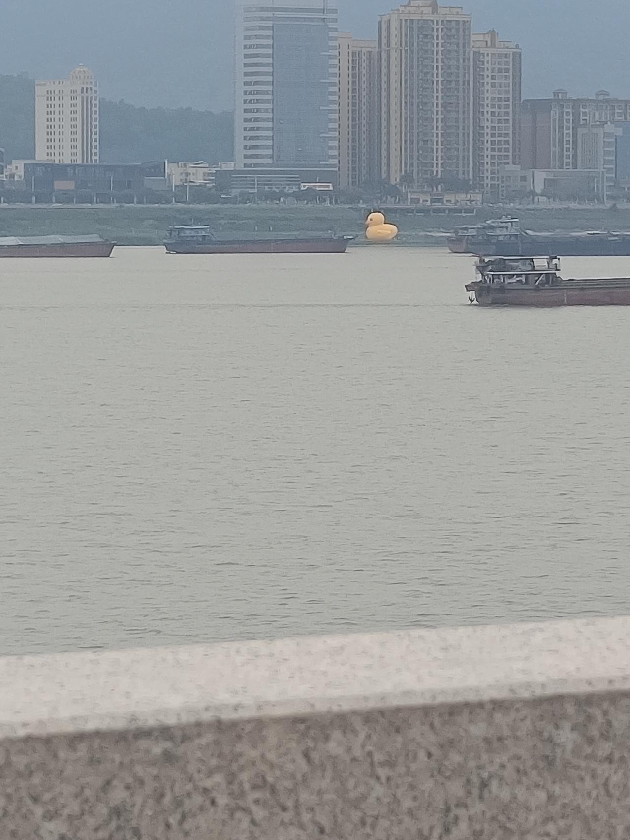 我在西江河边
发现了一个很严重的问题
但不知道怎么说才好



你敢相信吗？老衲