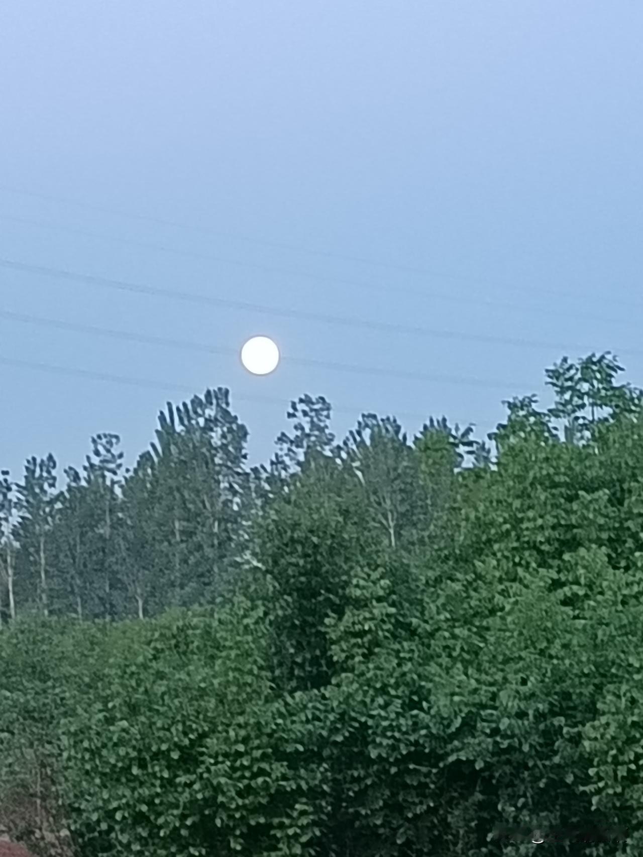 比比谁的眼力好，我这是早晨在西边拍的晨，眼看着是月亮，可拍出来有点像太阳。