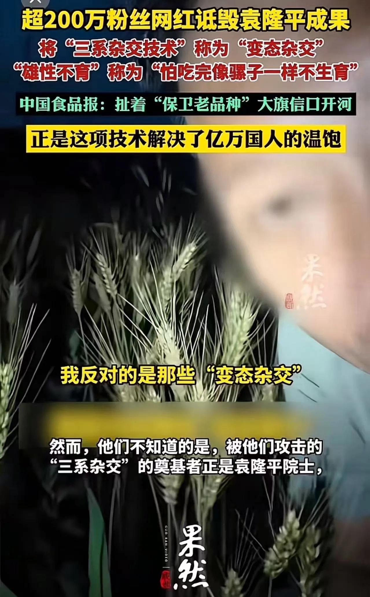 “吃完会断子绝孙”？200万粉网红诋毁杂交水稻，扬言“大不了再进去”，网友怒了：