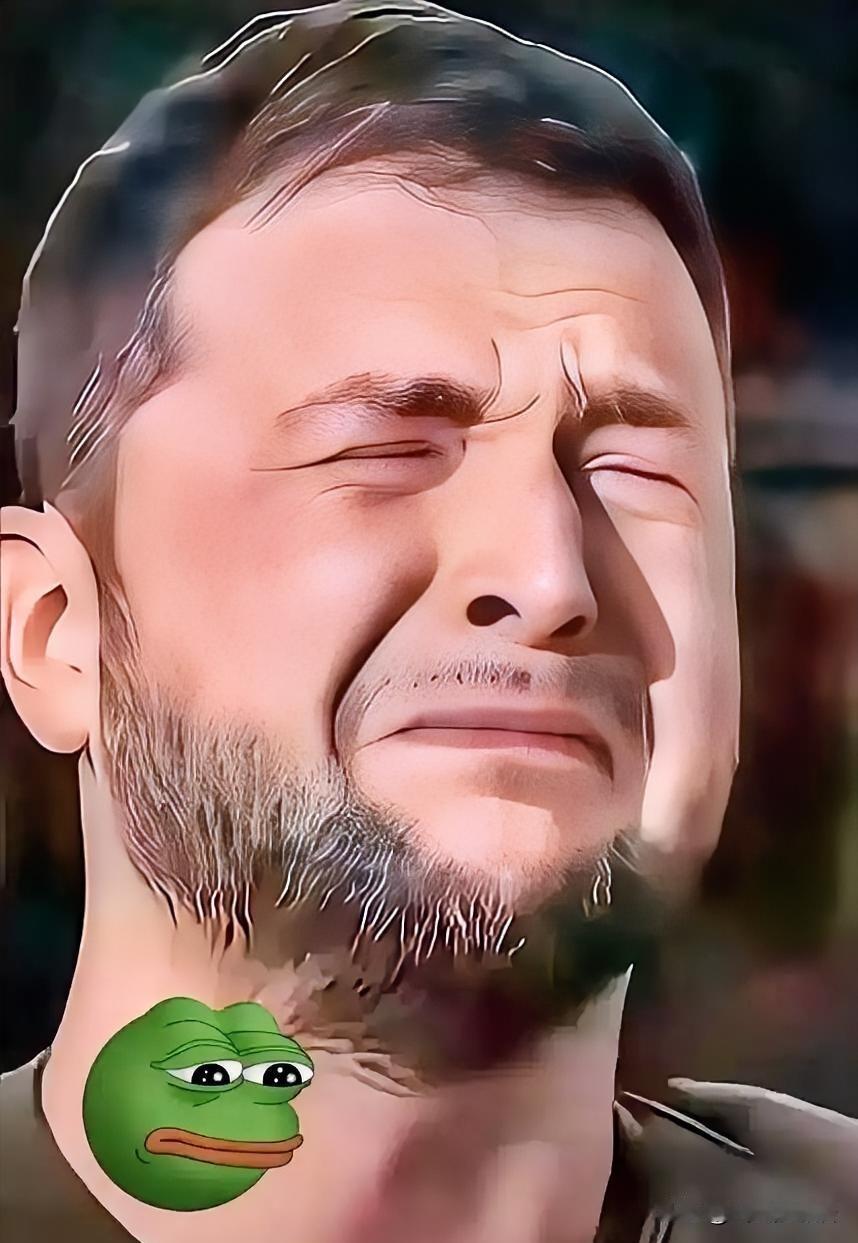 乌克兰被打“瘸腿”了，基辅开始要求“国际社会做出回应”。前面莫斯科已经宣布，为反