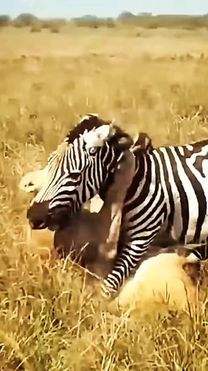 啊，啊，啊，啊，啊，啊，啊，啊，啊，啊，啊，啊，啊，啊，啊，啊。