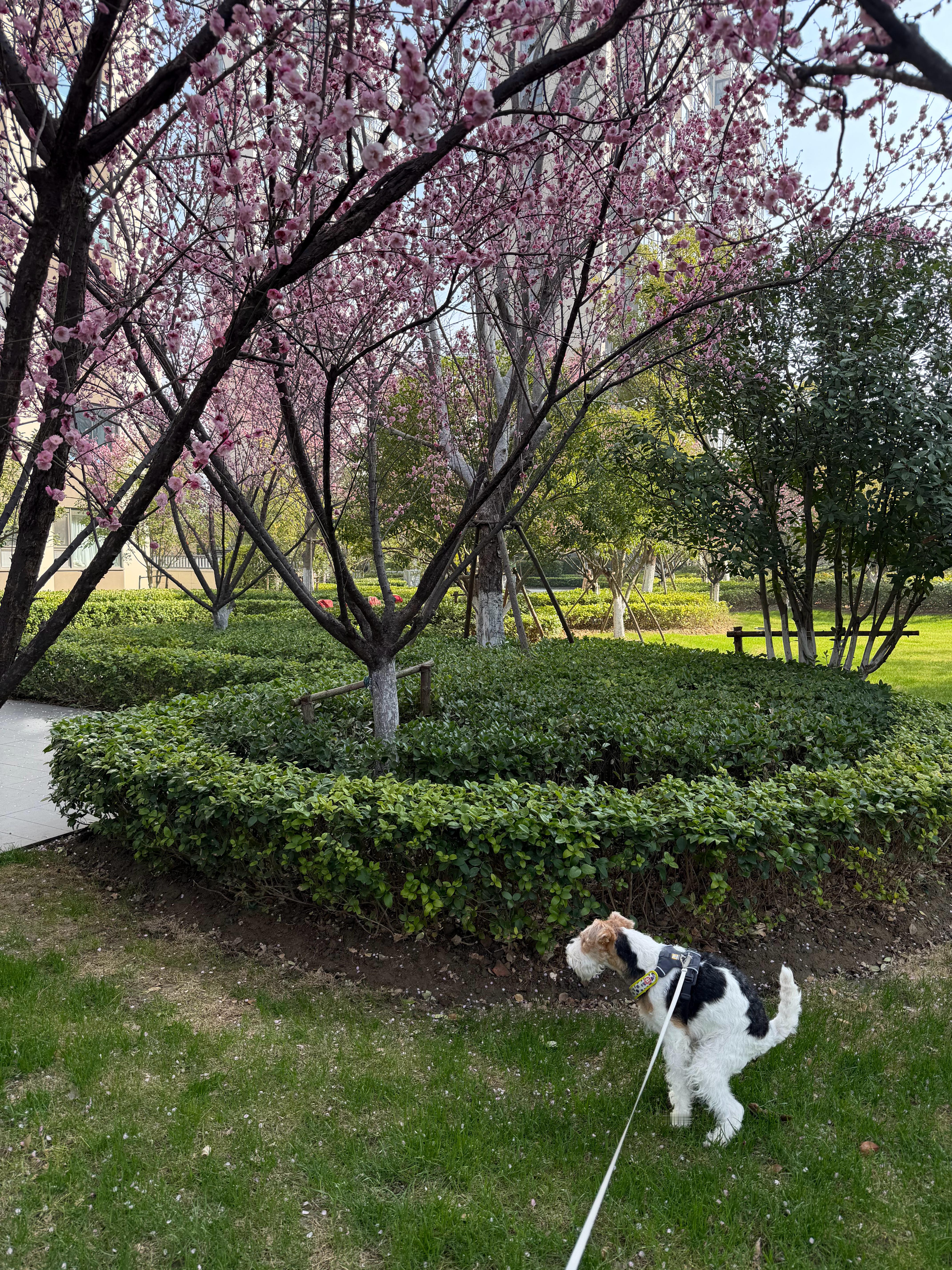 早上好，都放假了吧