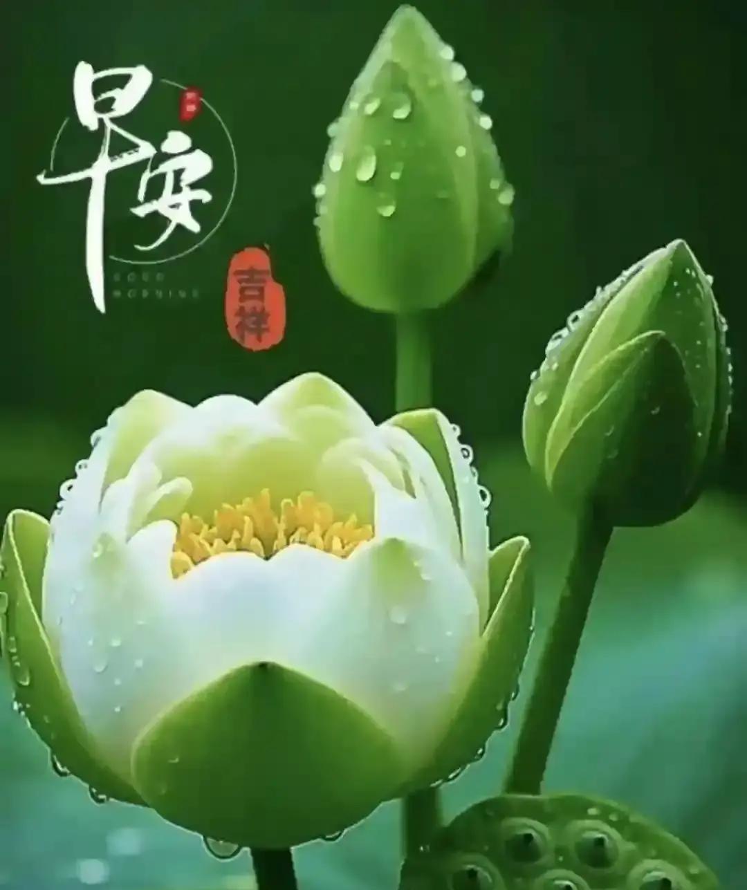 一句问候，藏着最暖的牵挂。

清晨的风还带着一点凉意，我轻轻把祝福送到你身边。愿