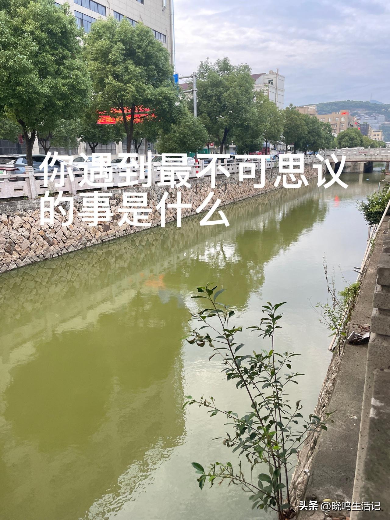 你遇到最不可思议的事，是什么？