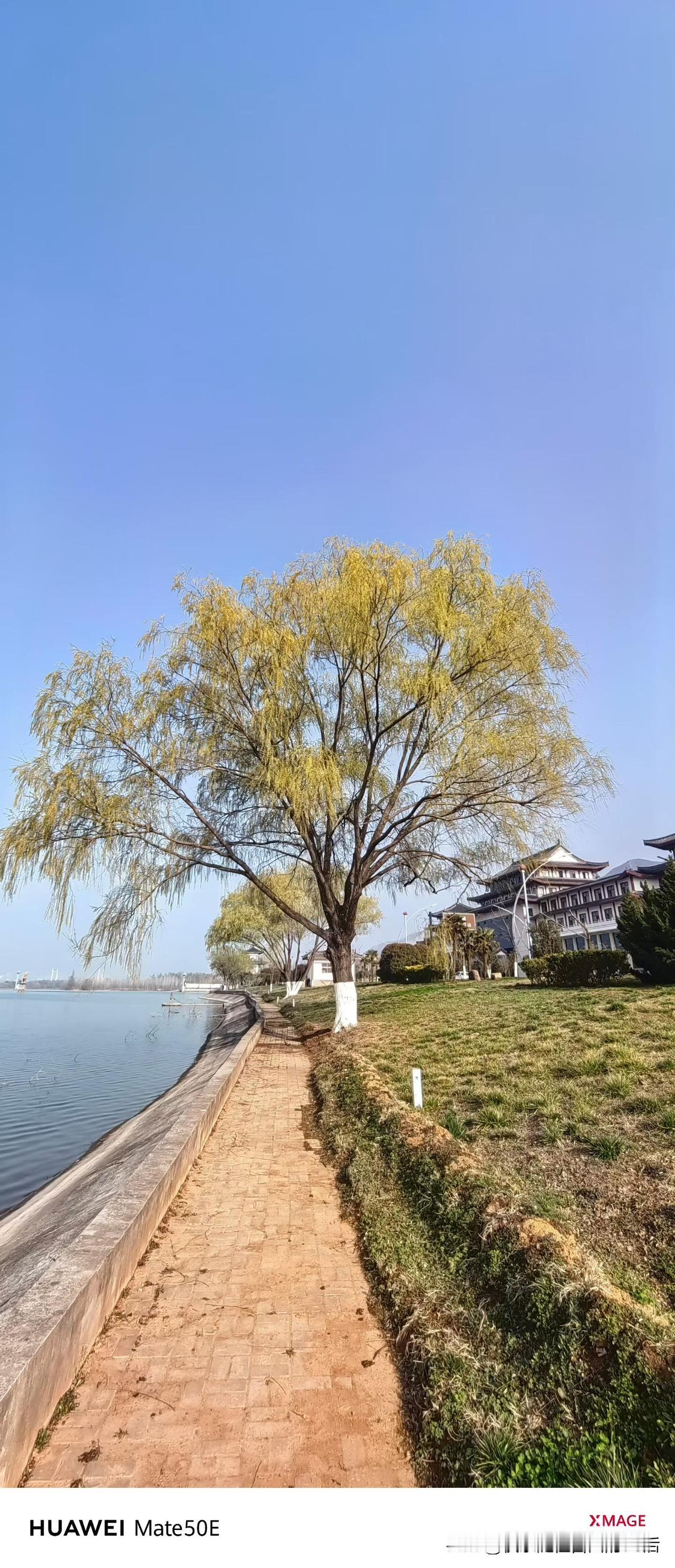 春天悄悄地来了，嫩绿的小草迫不及待地从土里探出头来发芽了，五彩斑斓的野花也争先恐