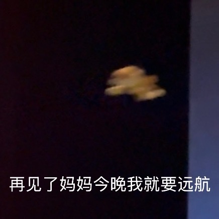 想刺激猴毛 说再多zszs 不如一句你没有小猴 